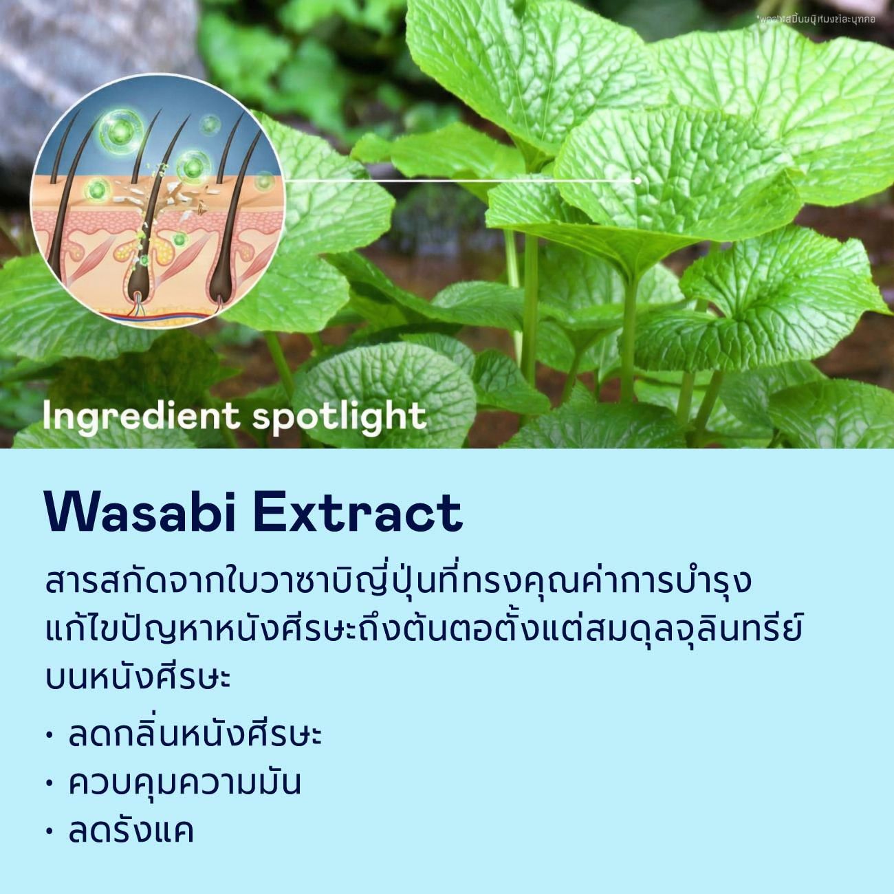 Happy Hair Starter Set